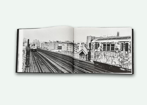 Ricky Flores - South Bronx Family Album