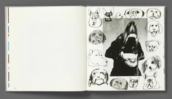Jack Davison - Photographs *Annotated Artists Edition* Signed