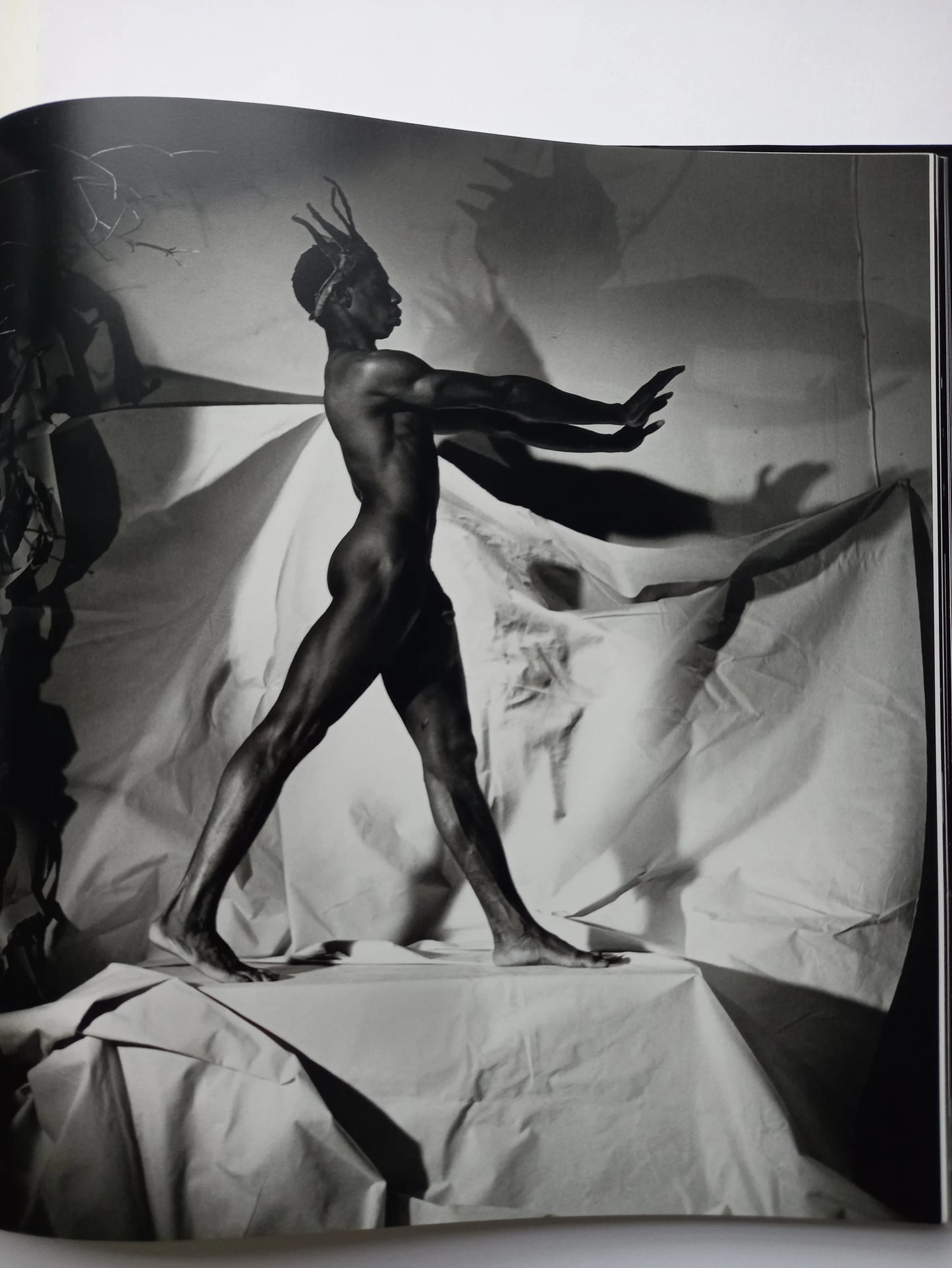 Steven Arnold - Exotic Tableaux