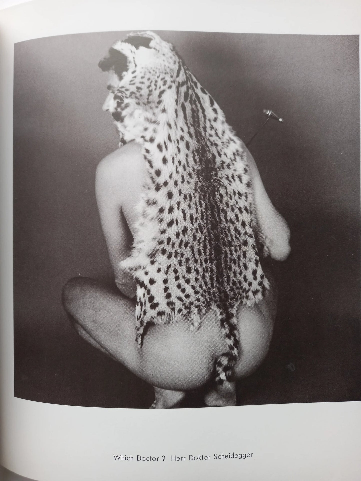 Rotimi Fani-Kayode - Black Male / White Male