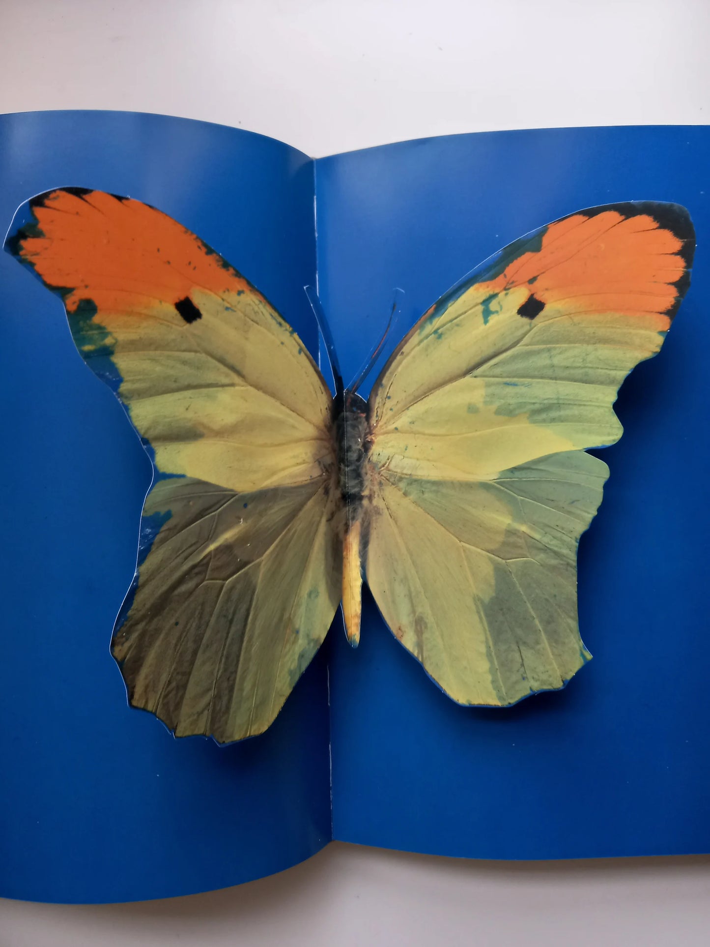 Damien Hirst - I Want to Spend the Rest of My Life Everywhere, with Everyone, One to One, Always