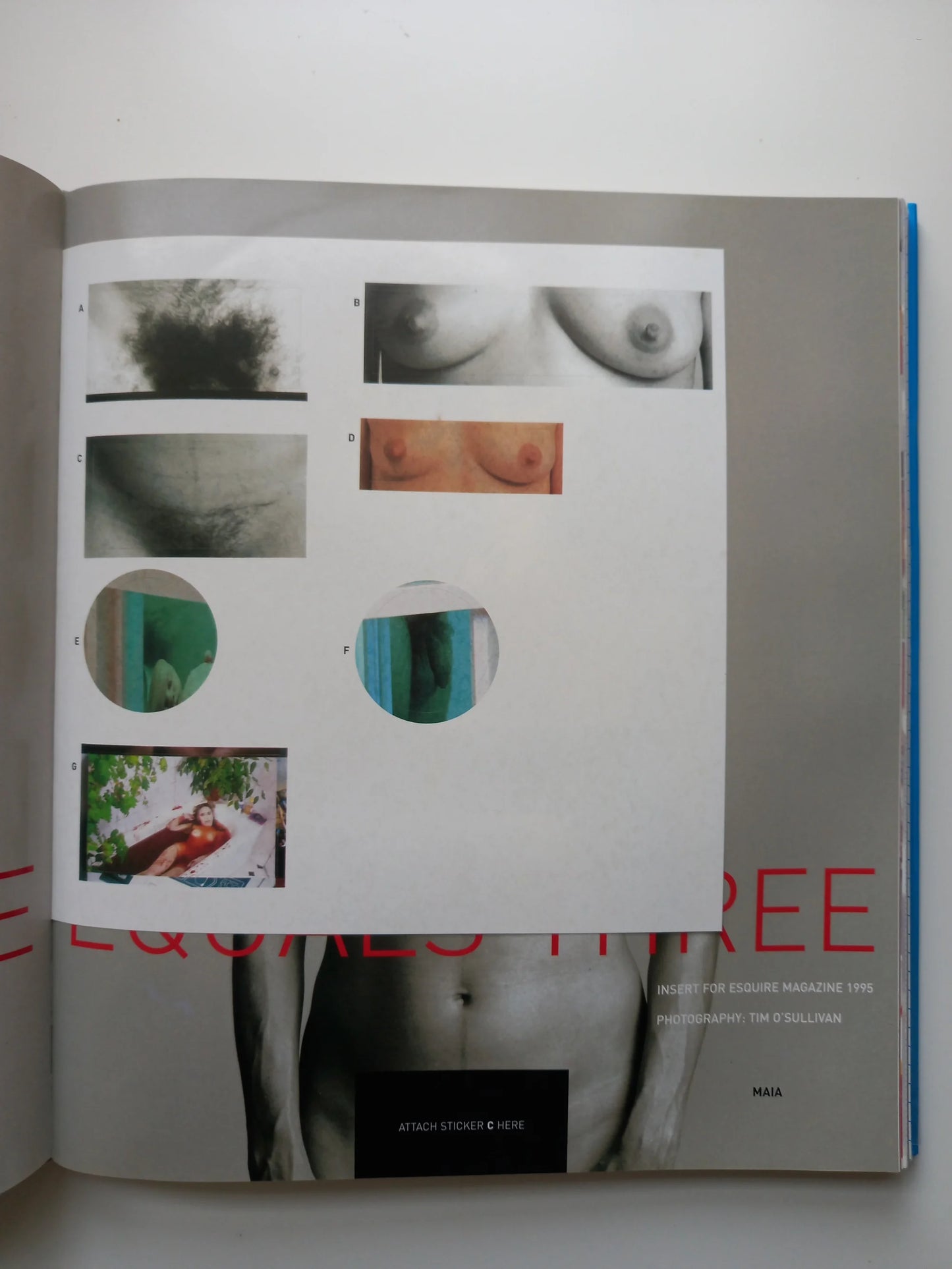 Damien Hirst - I Want to Spend the Rest of My Life Everywhere, with Everyone, One to One, Always