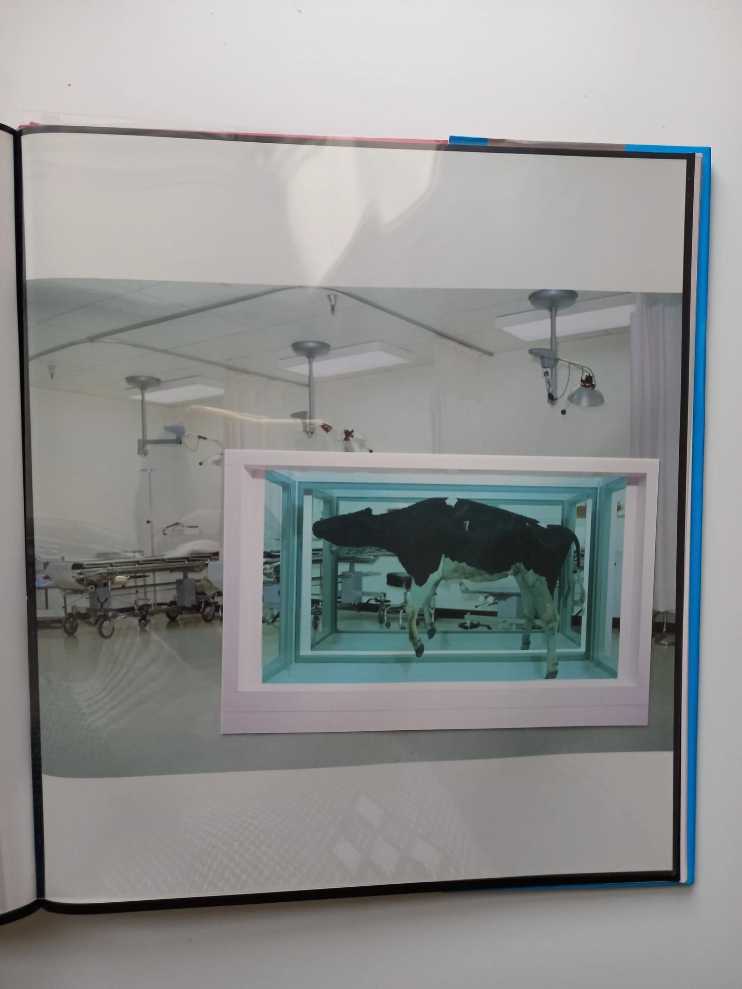 Damien Hirst - I Want to Spend the Rest of My Life Everywhere, with Everyone, One to One, Always