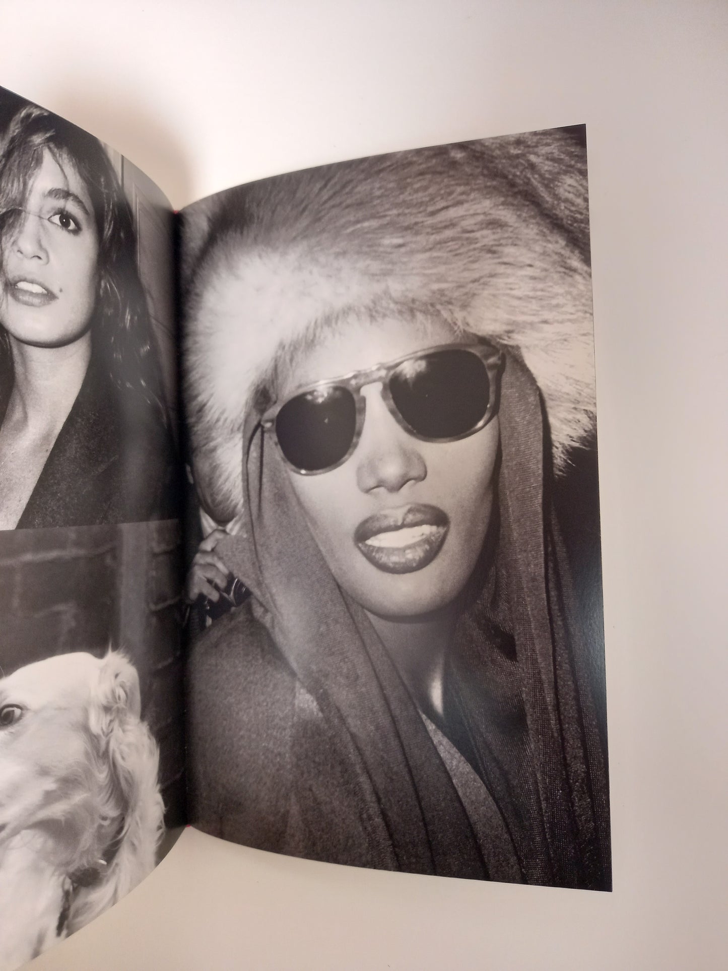 Ricky Powell - Public Access: Photographs, 1985-2005