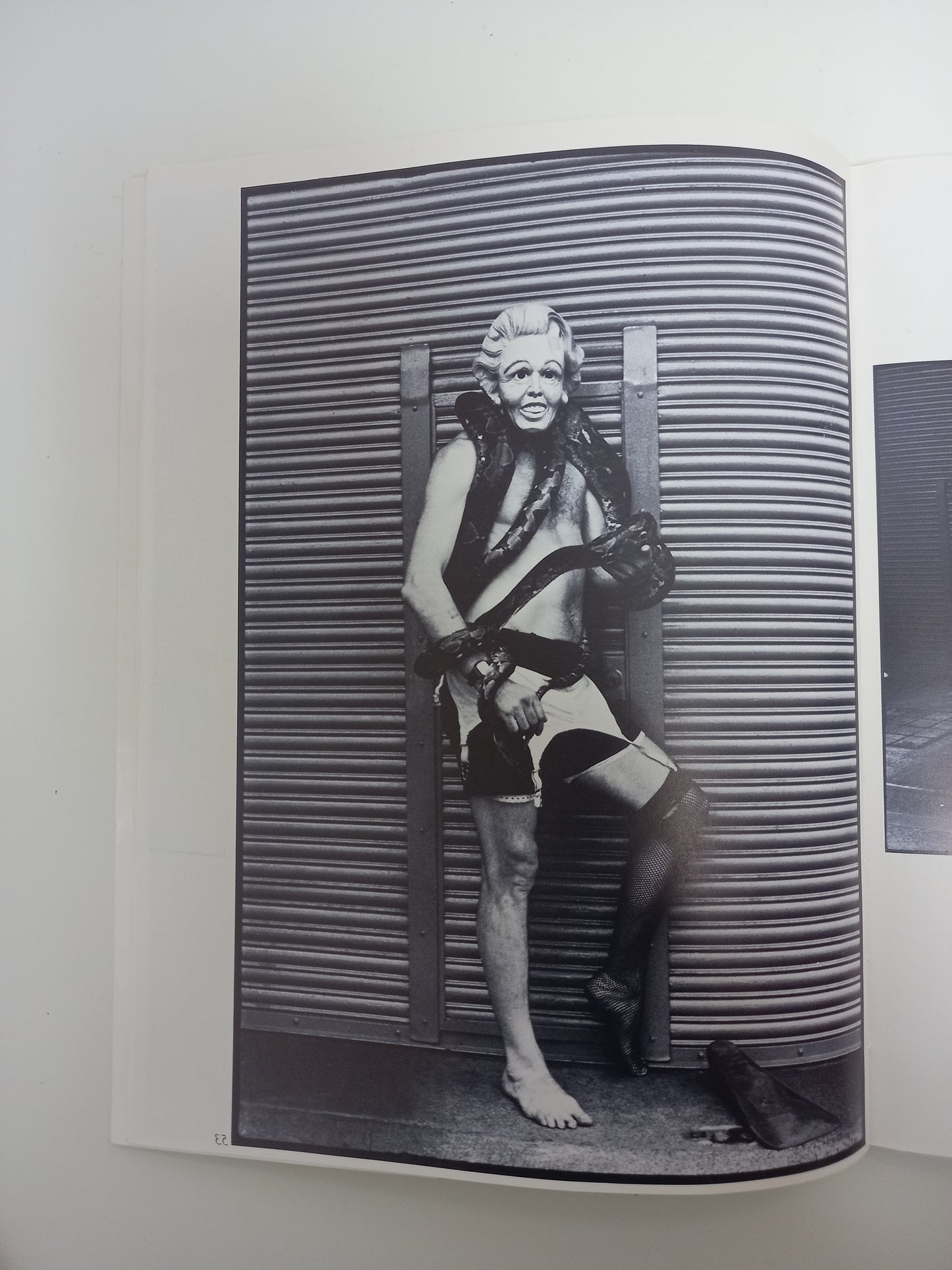 Chris Wroblewski - Modern Primitives, 1988