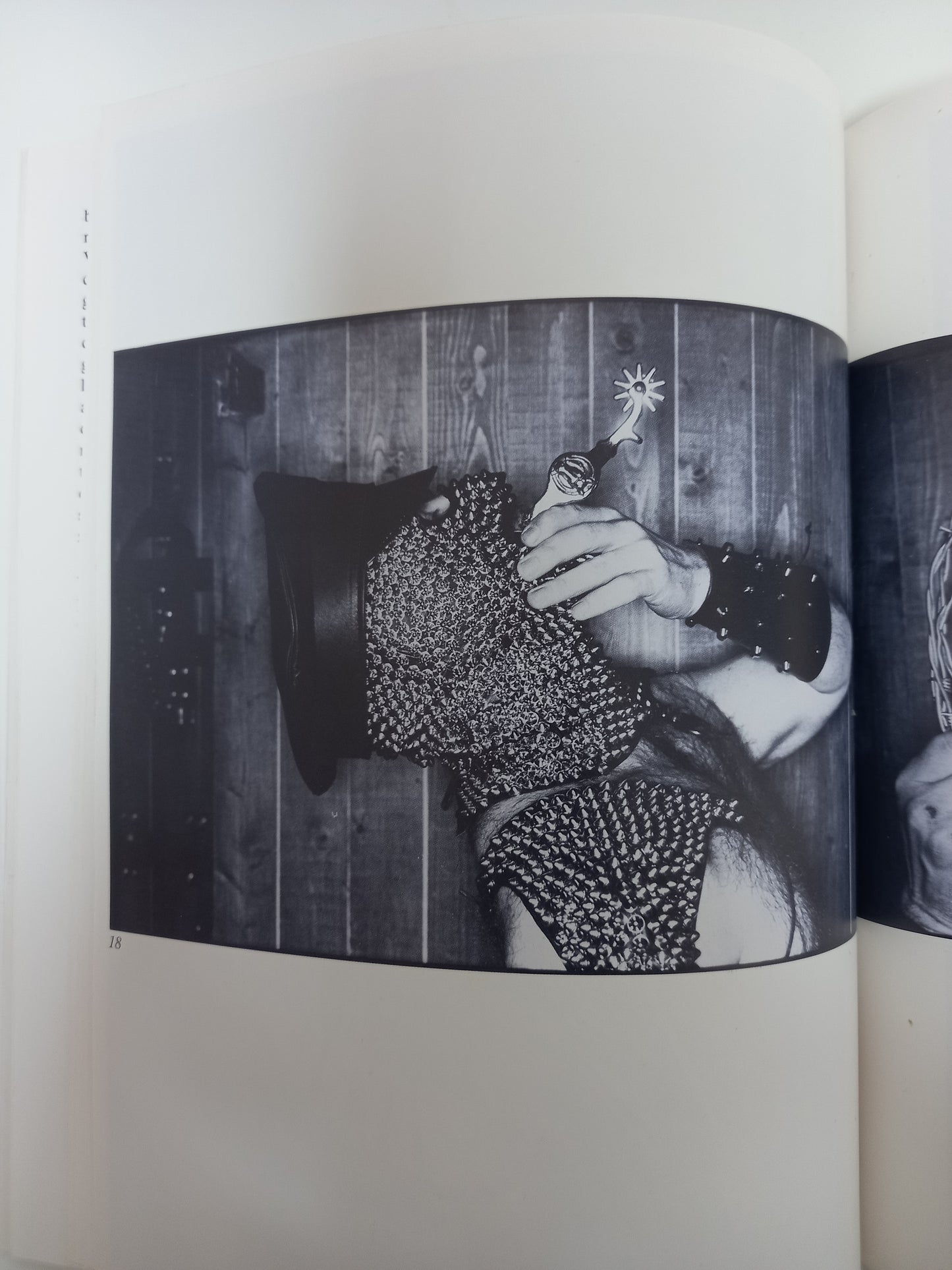 Chris Wroblewski - Modern Primitives, 1988