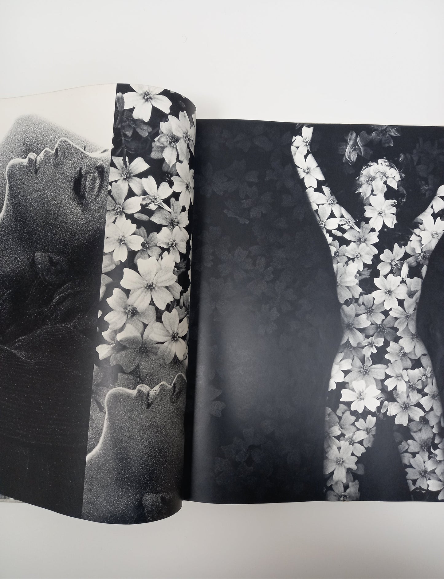 Sam Haskins - November Girl