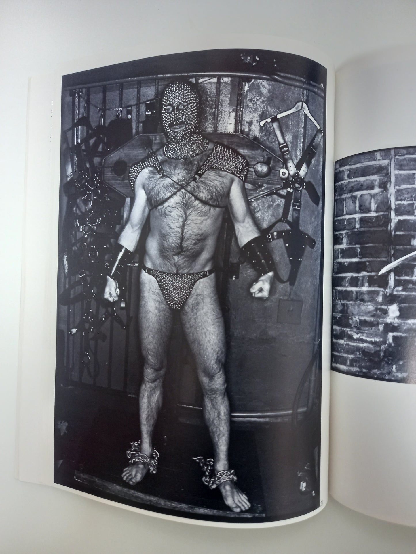 Chris Wroblewski - Modern Primitives, 1988