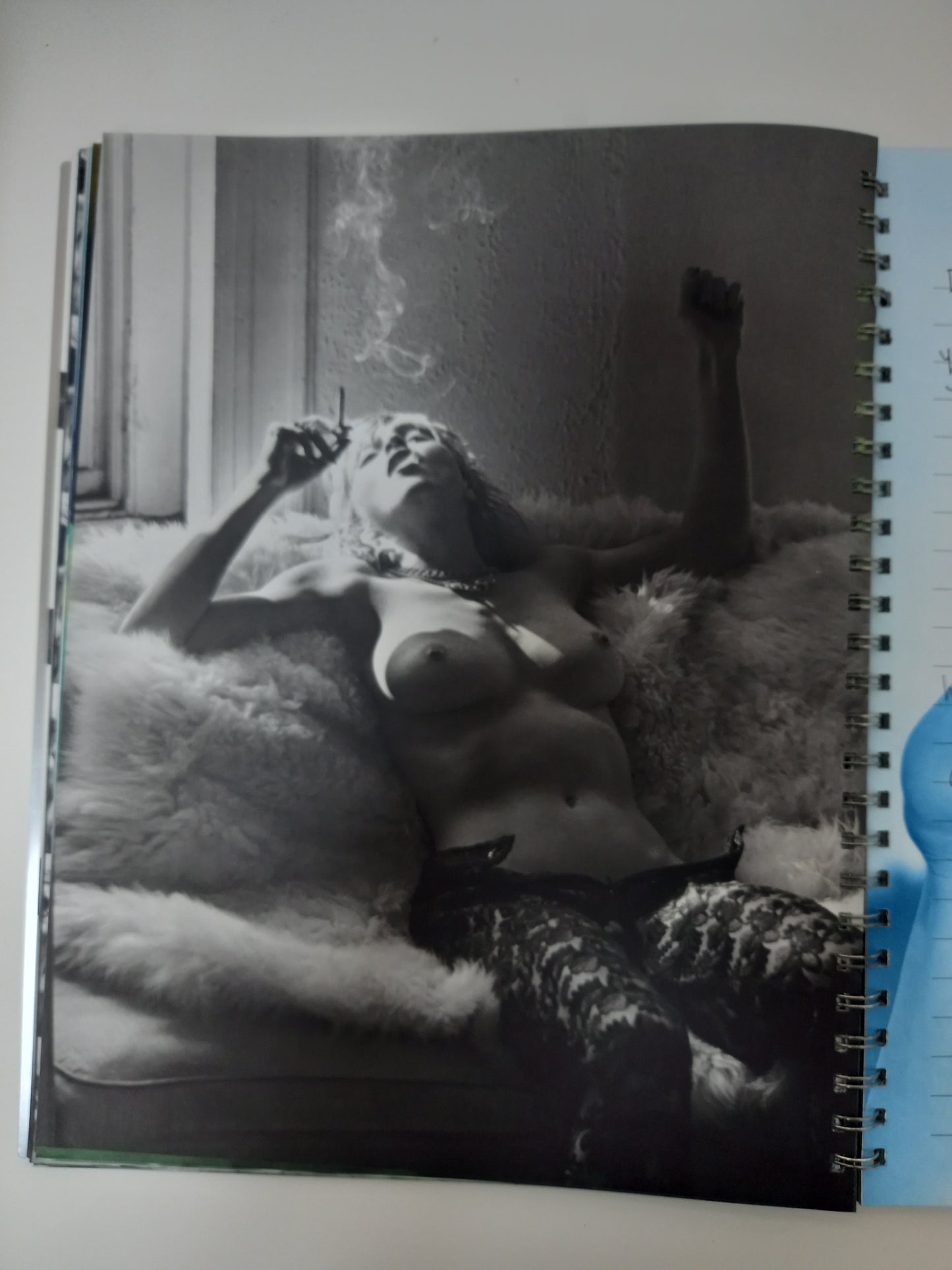 Madonna - Sex Book