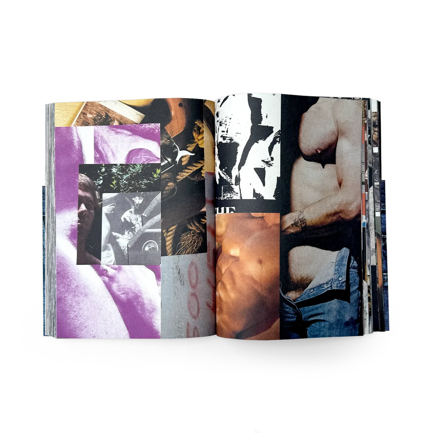 Gray Wielebinski - PACK