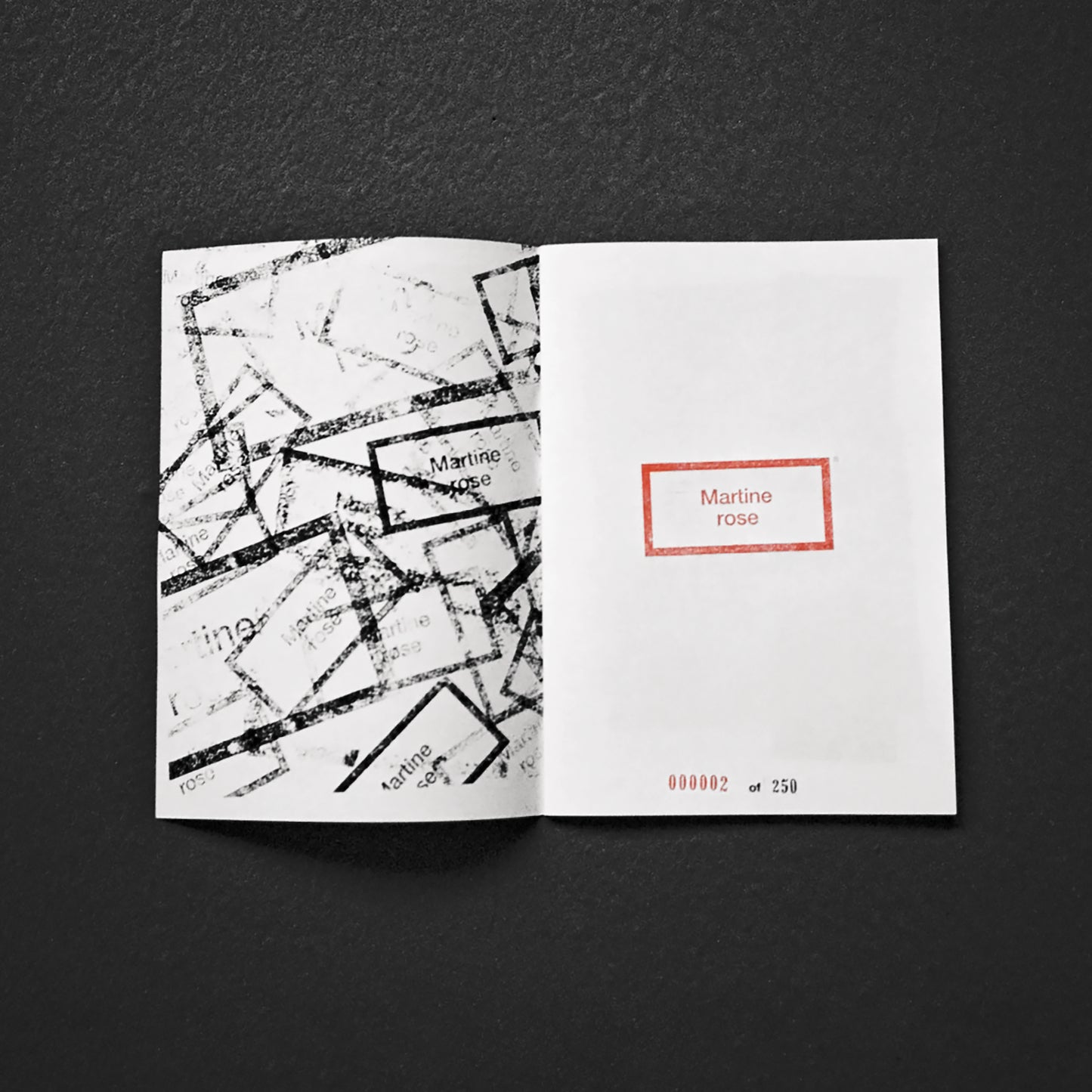 Martine Rose AW20 x Gary Gill Zine