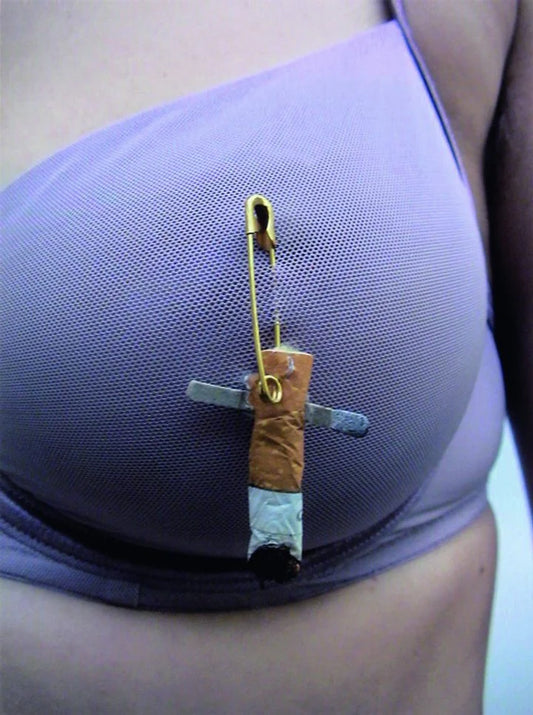 Sarah Lucas - We Do It With Love *Pin*