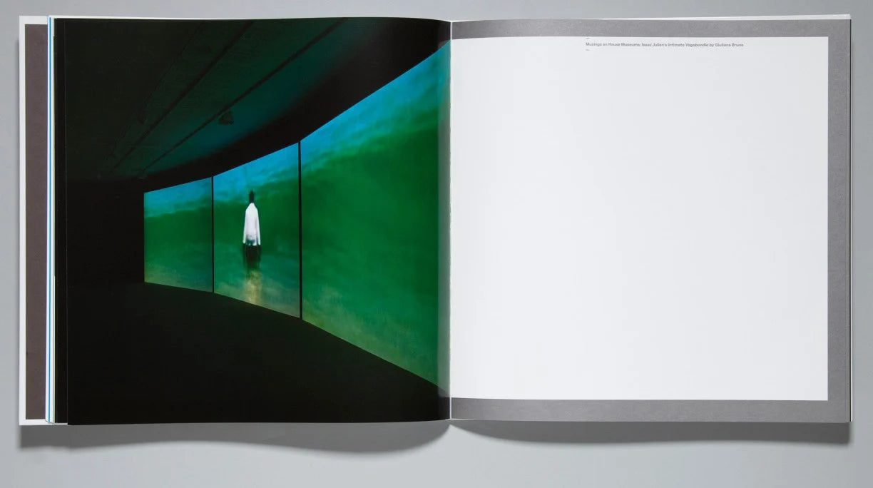 Isaac Julien - Love / Hate