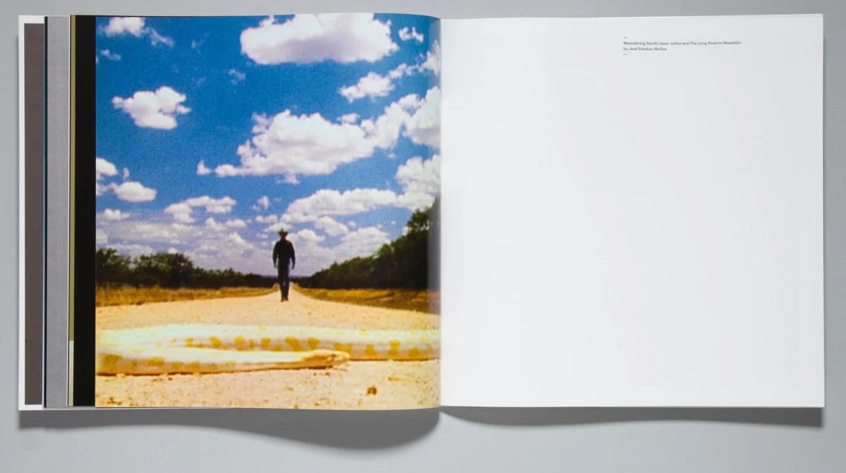 Isaac Julien - Love / Hate