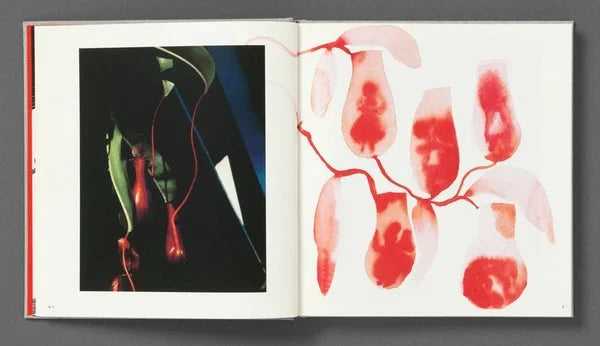 Jack Davison - Photographs *Annotated Artists Edition* Signed