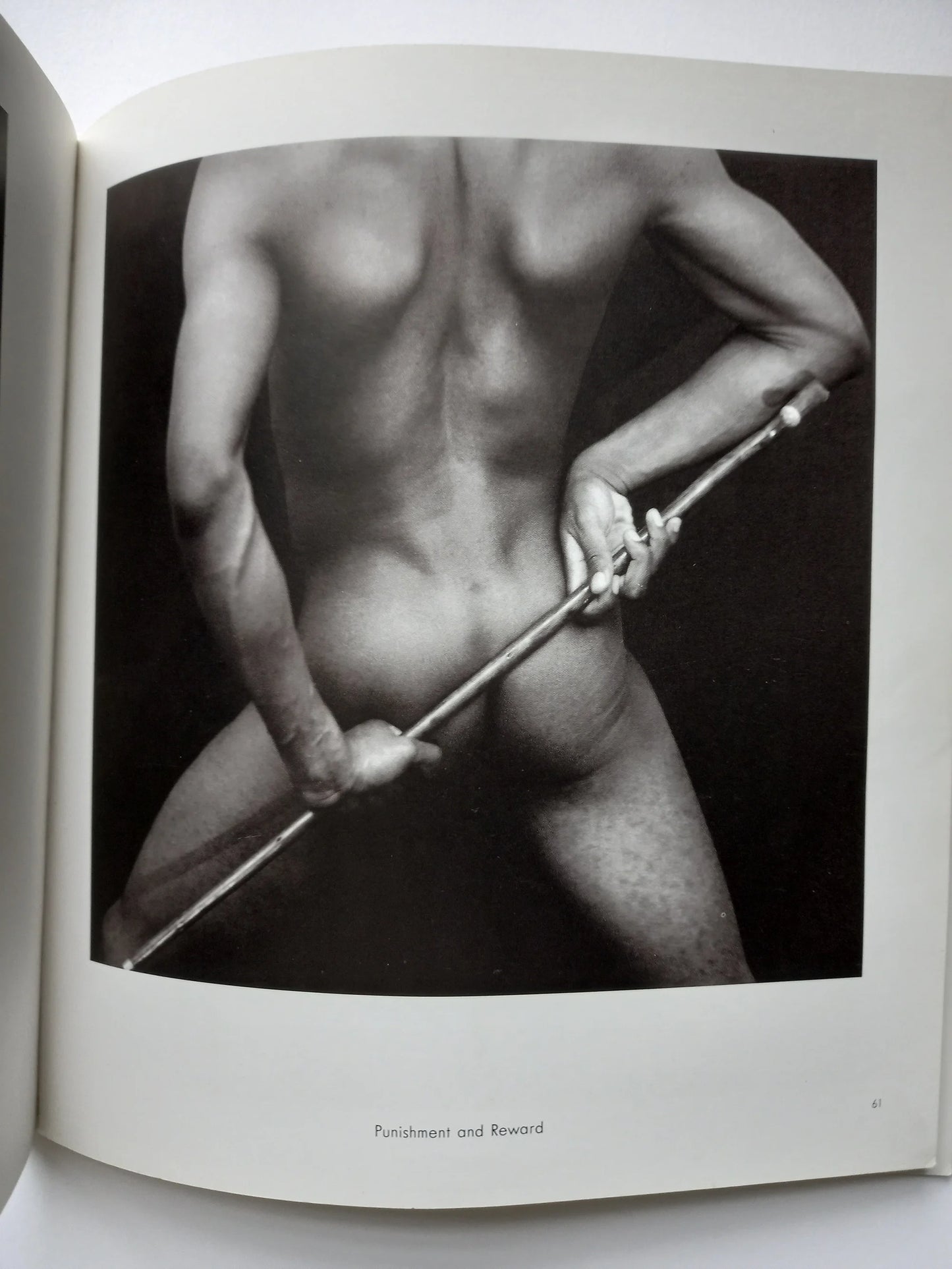 Rotimi Fani-Kayode - Black Male / White Male
