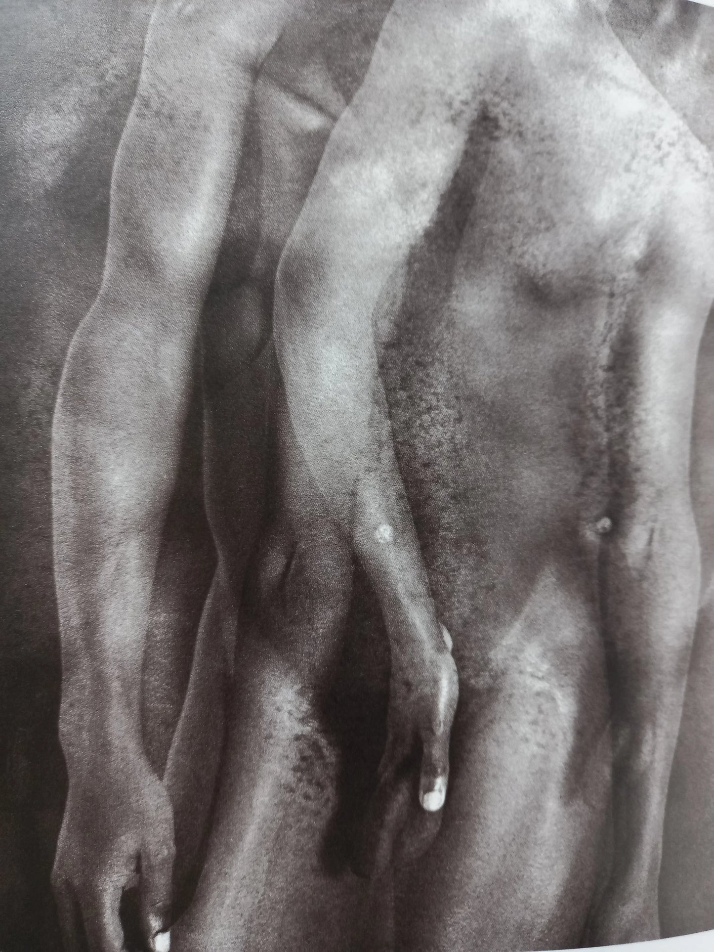 Rotimi Fani-Kayode - Black Male / White Male