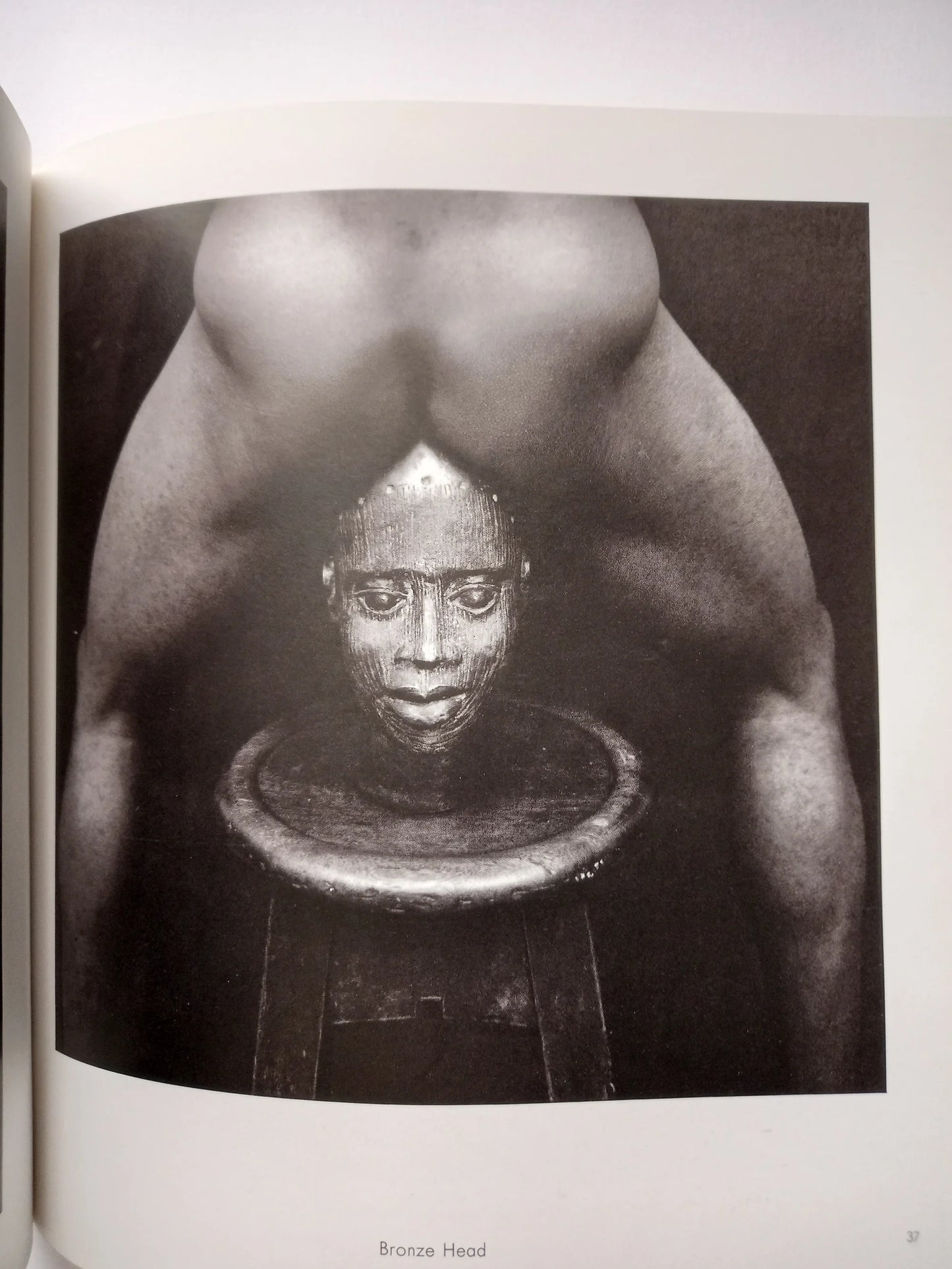 Rotimi Fani-Kayode - Black Male / White Male