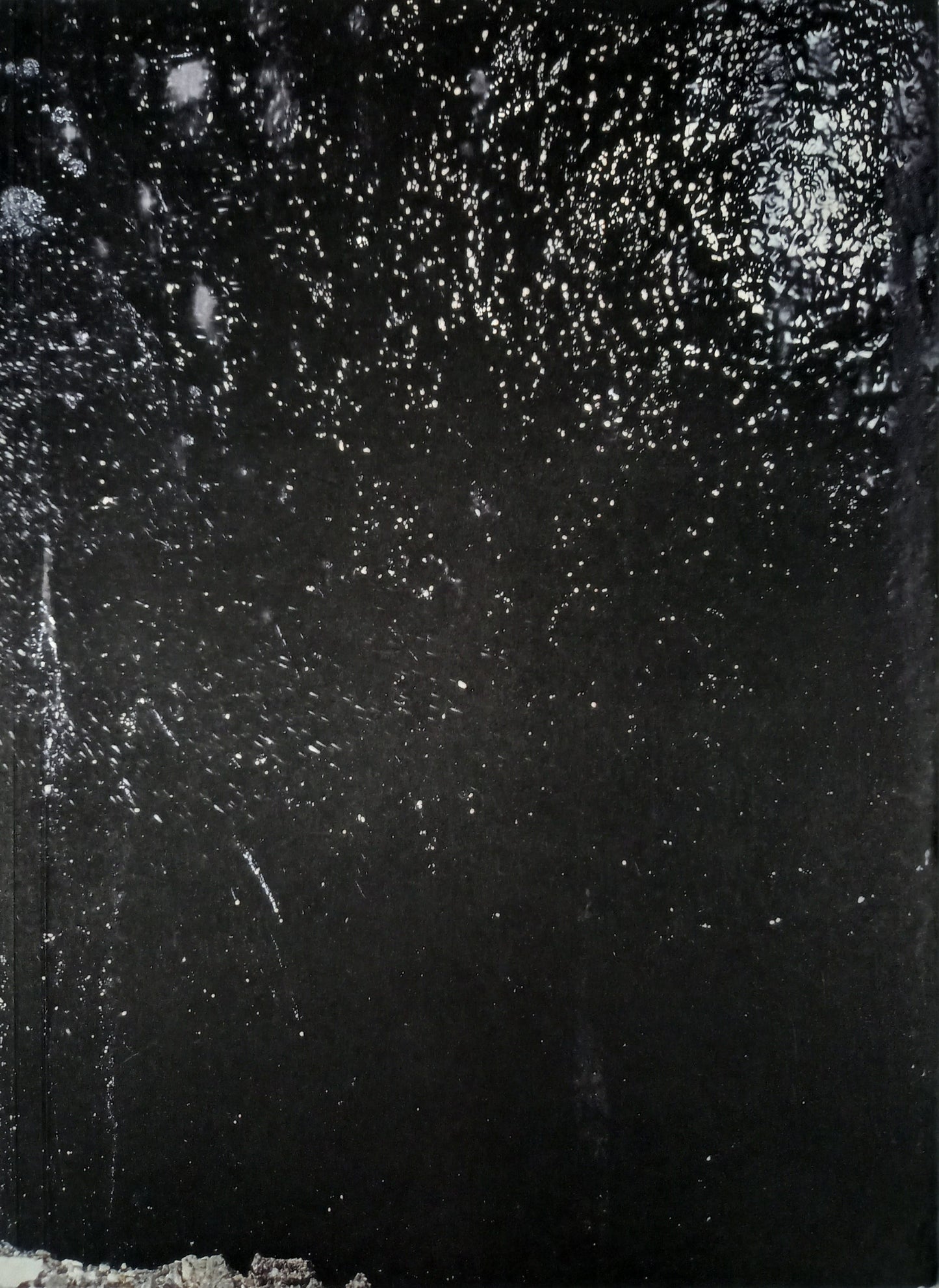 Max Pinckers - Will They Sing Like Raindrops or Leave Me Thirsty