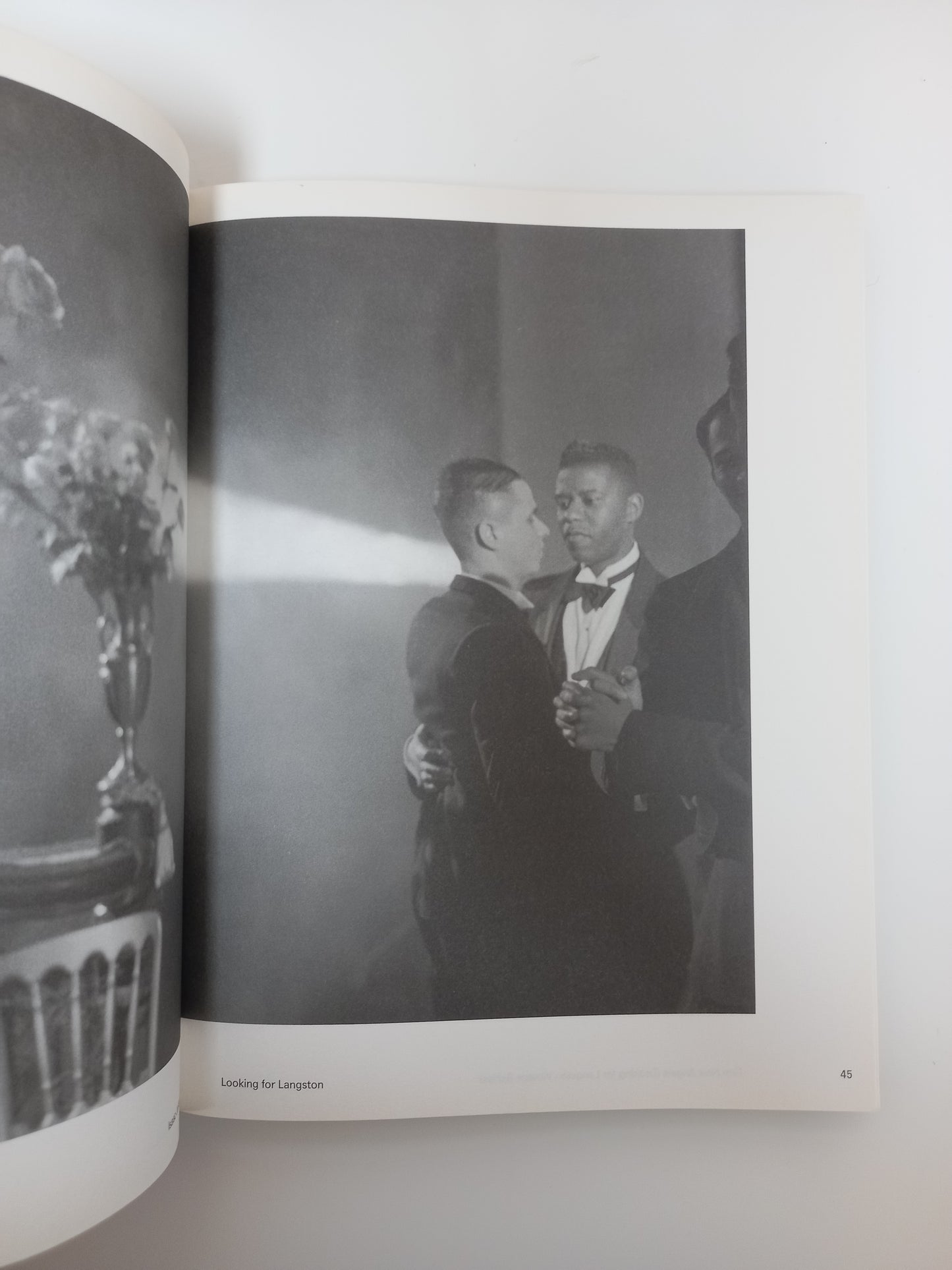 Isaac Julien - Looking for Langston