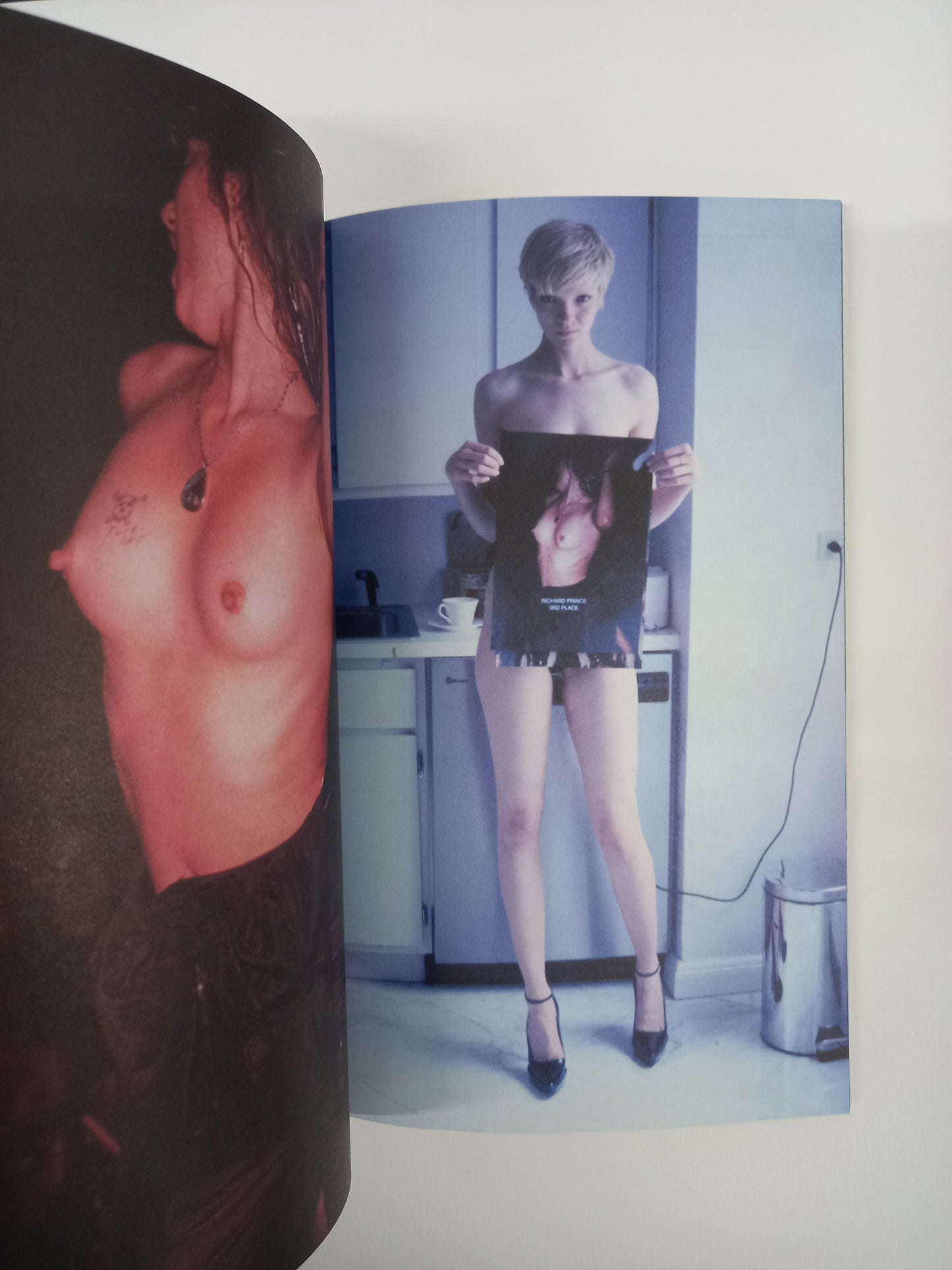 Richard Prince - What's In My Library