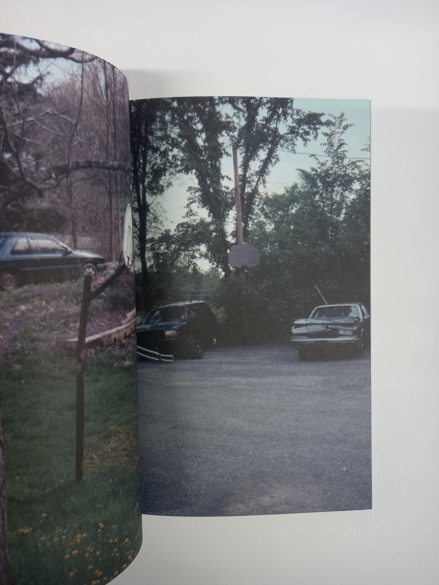 Richard Prince - What's In My Library