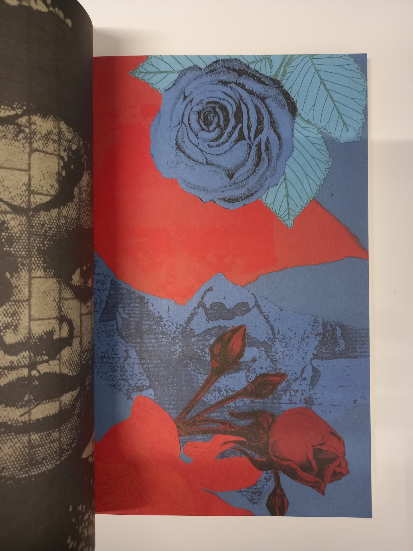 The Rita Keegan Archive -  Mirror Reflecting Darkly