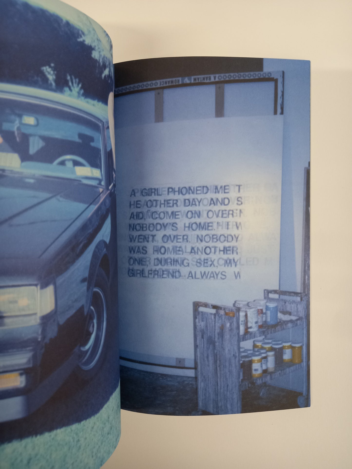 Richard Prince - What's In My Library