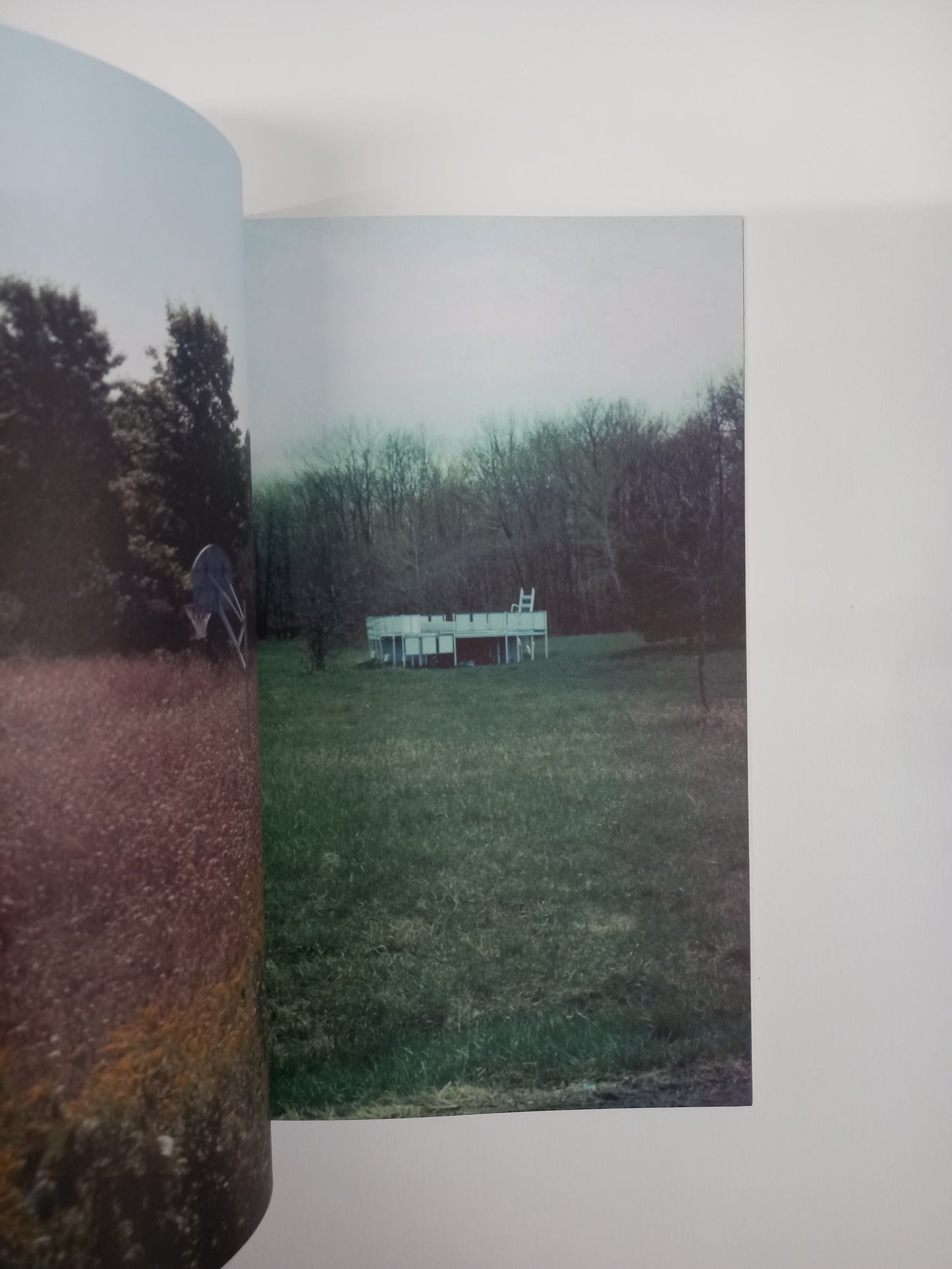 Richard Prince - What's In My Library