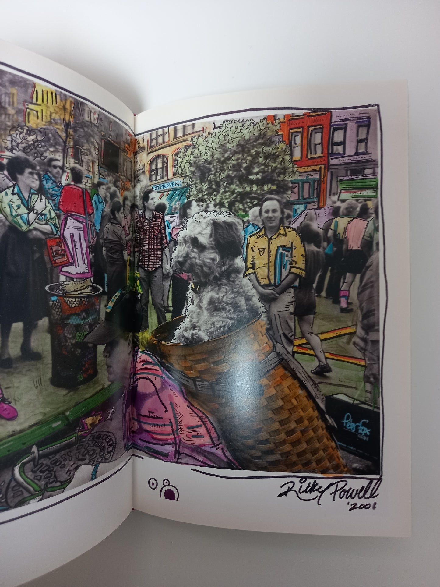 Ricky Powell - Public Access: Photographs, 1985-2005