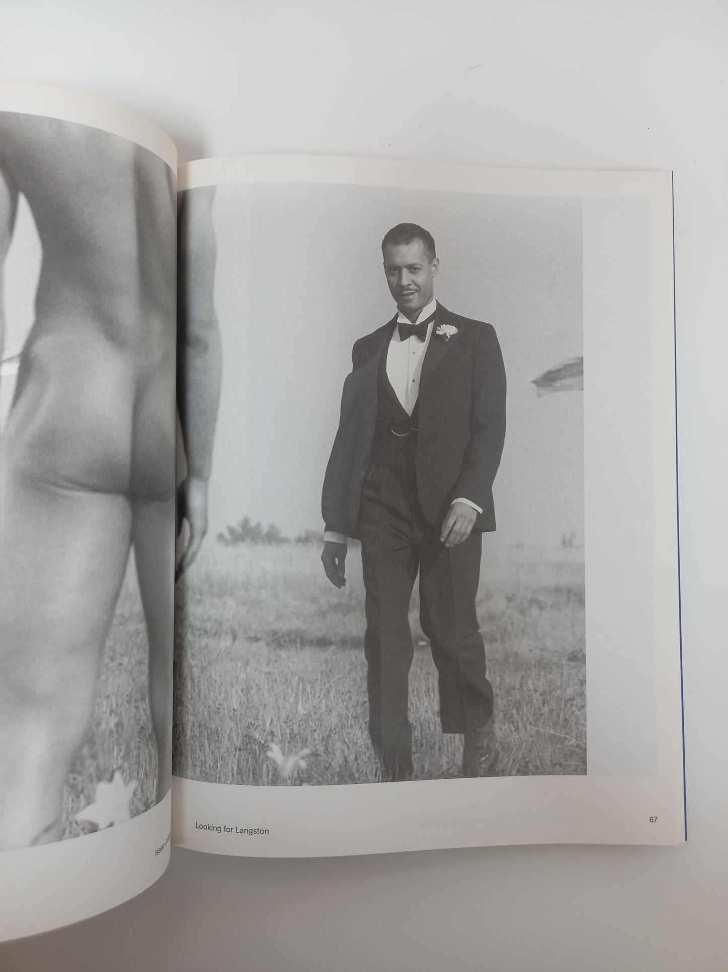 Isaac Julien - Looking for Langston