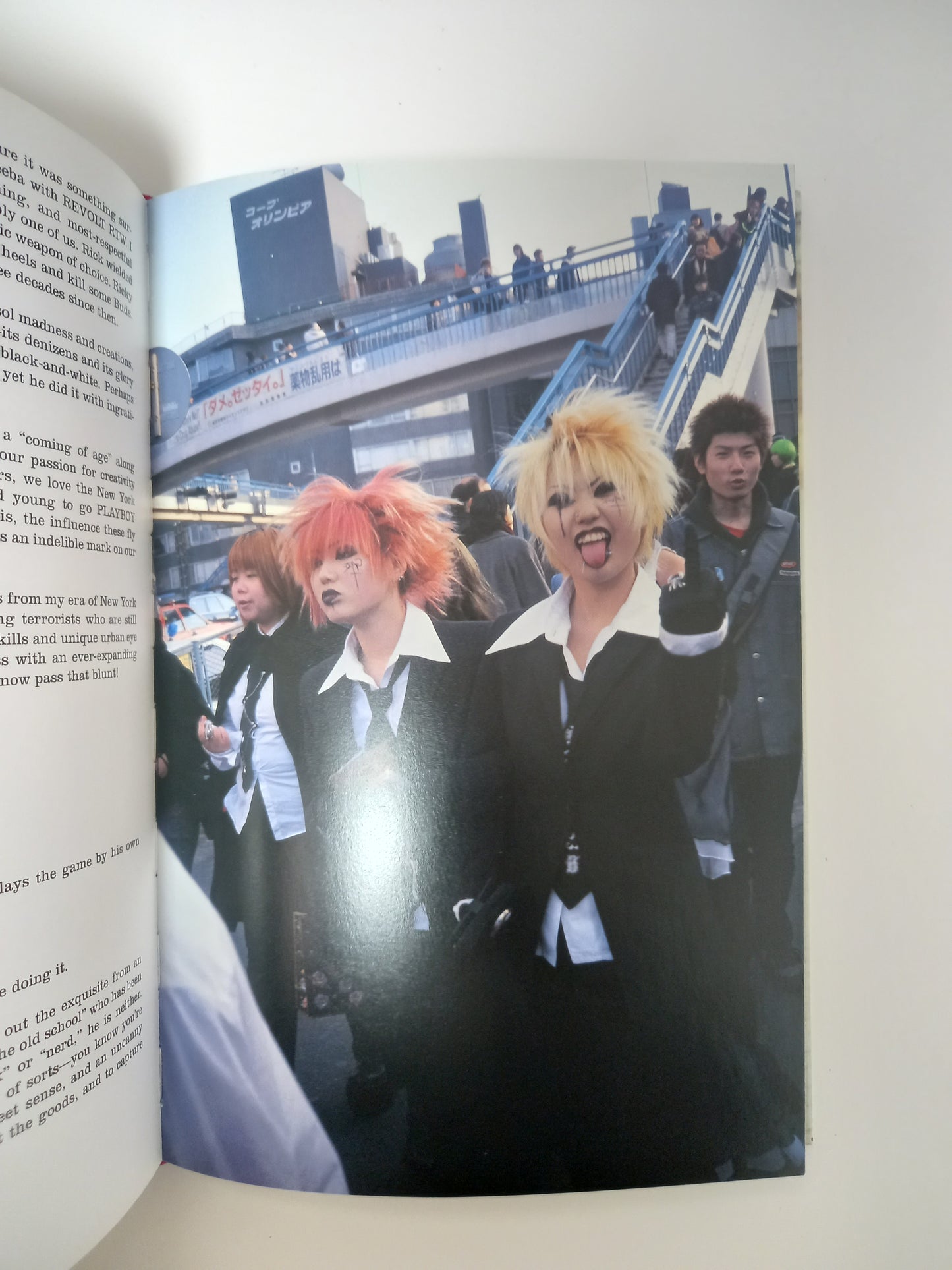 Ricky Powell - Public Access: Photographs, 1985-2005