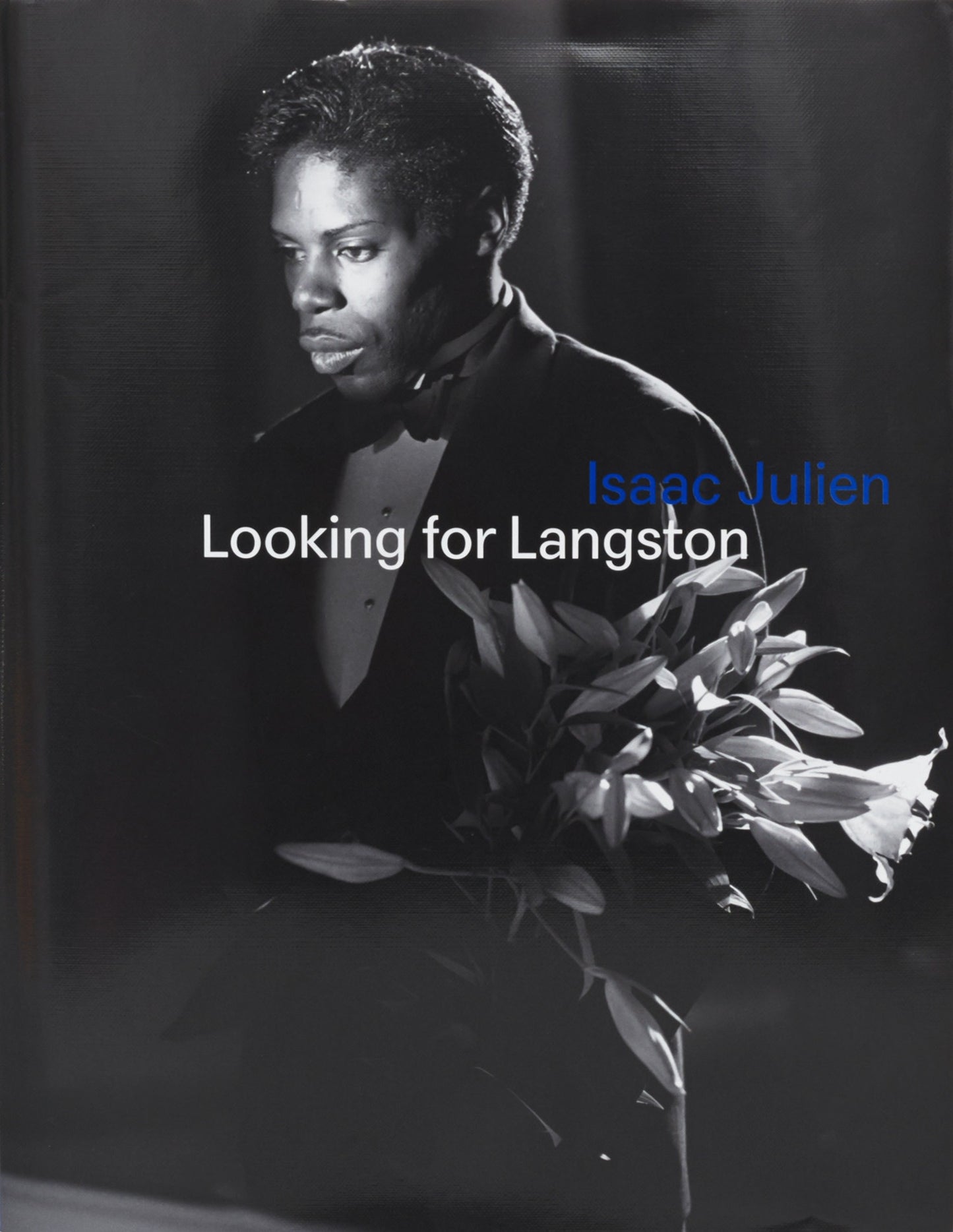 Isaac Julien - Looking for Langston