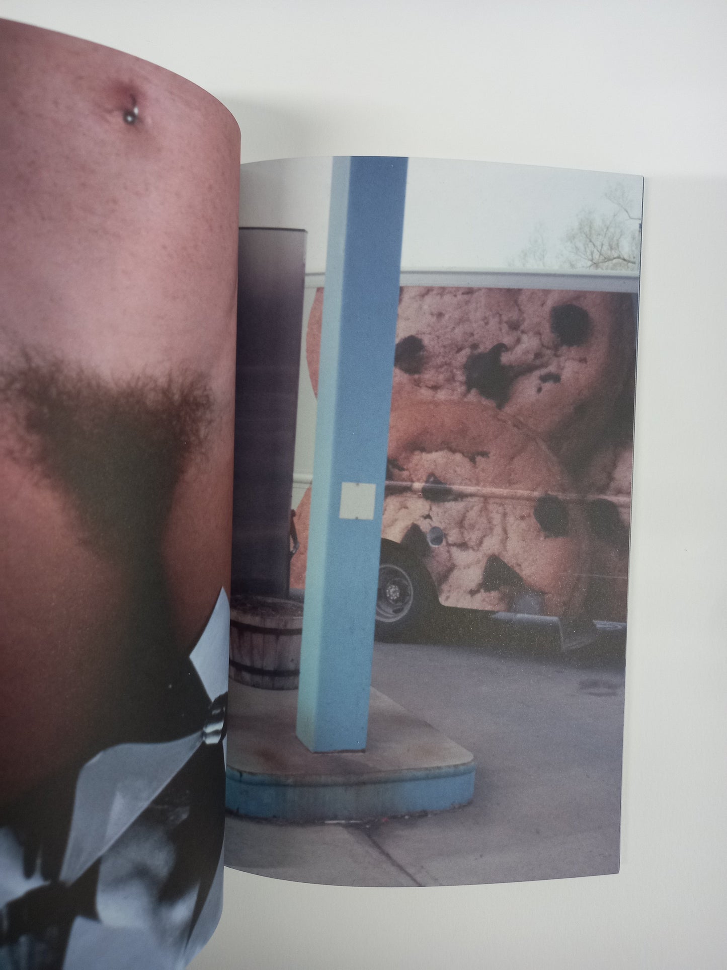 Richard Prince - What's In My Library