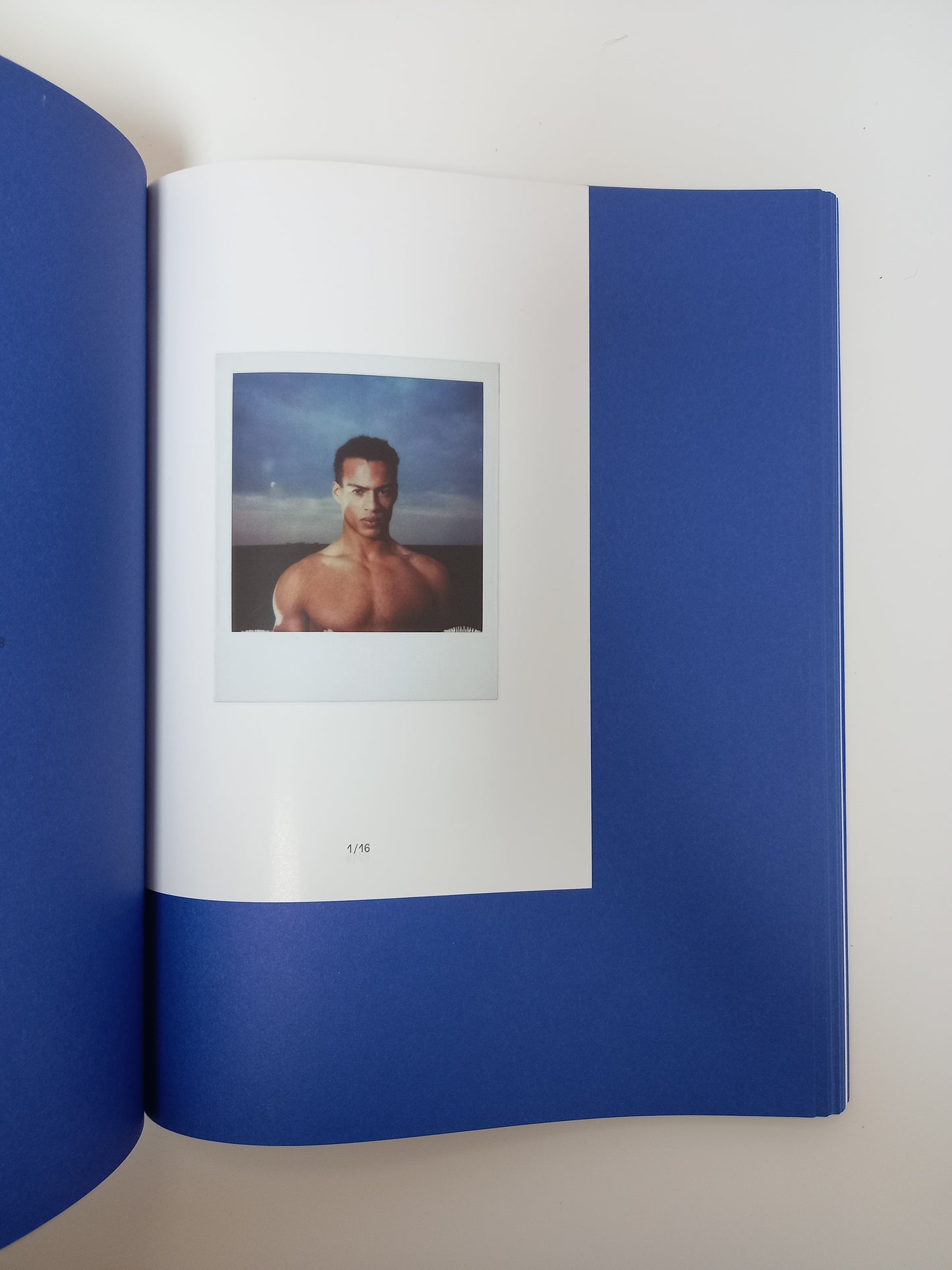 Isaac Julien - Looking for Langston