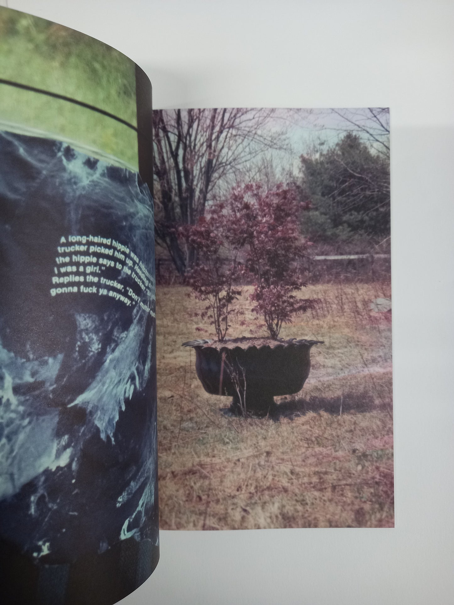 Richard Prince - What's In My Library