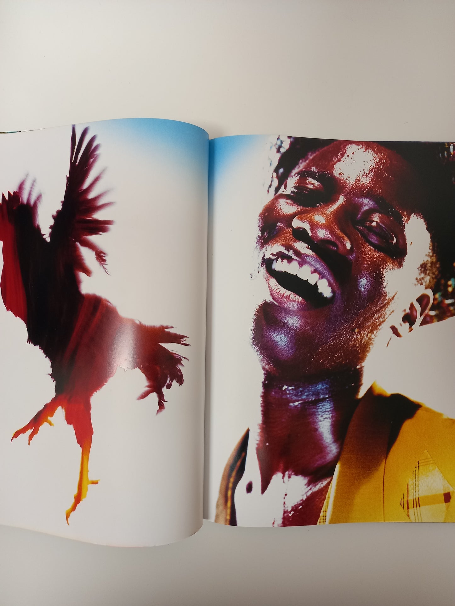 Nick Knight - NICKNIGHT