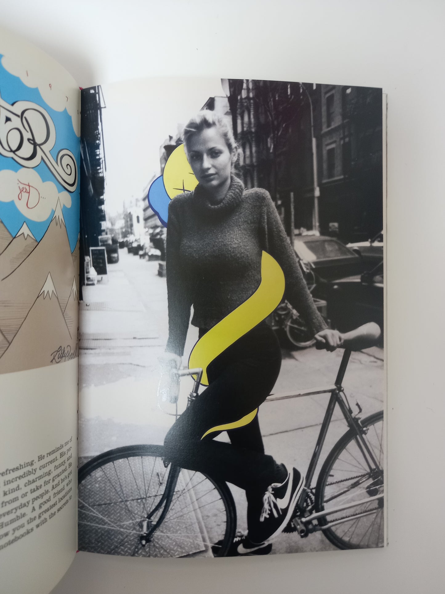 Ricky Powell - Public Access: Photographs, 1985-2005