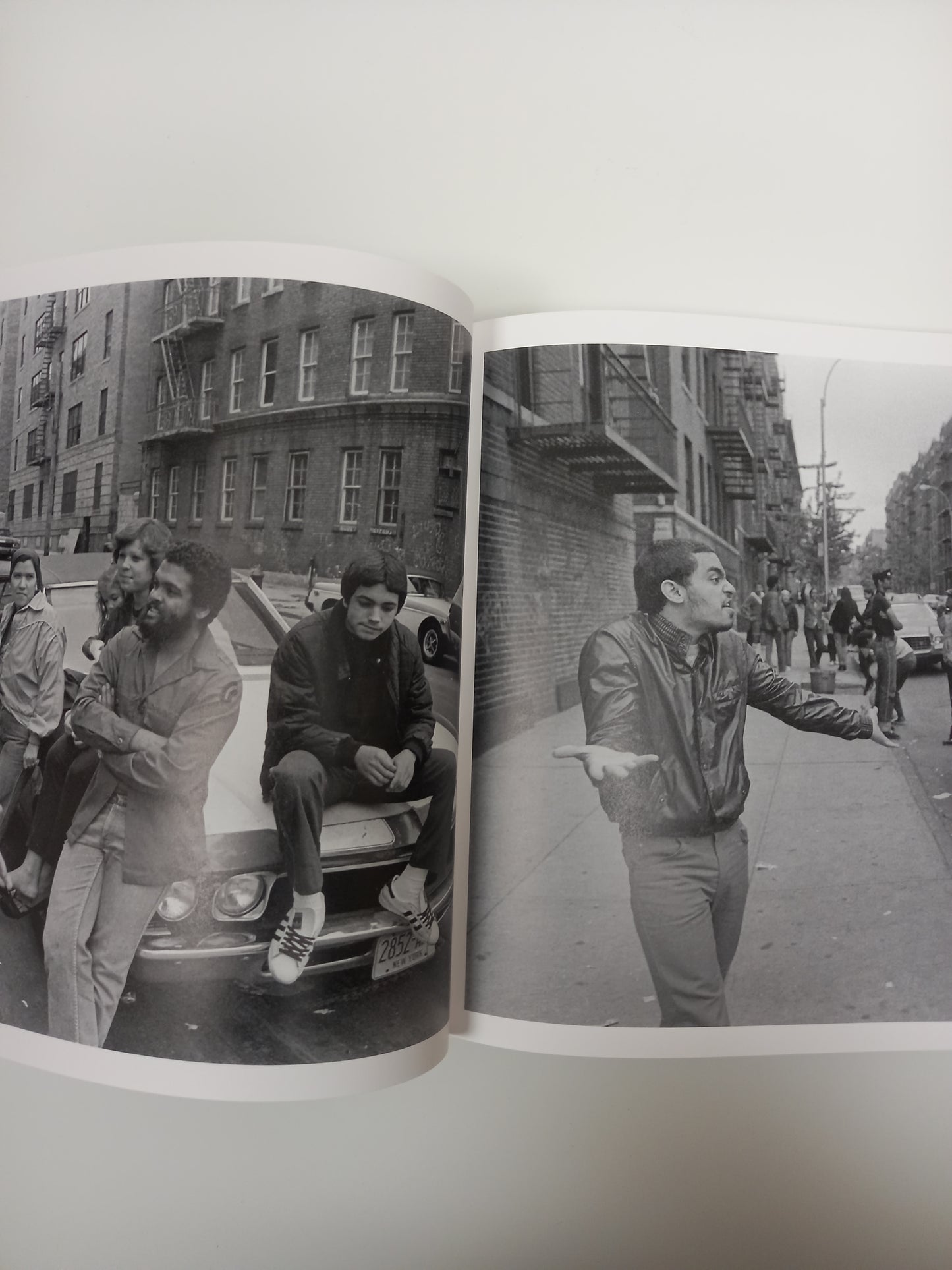 Ricky Flores - South Bronx Family Album